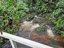 acari_010.jpg